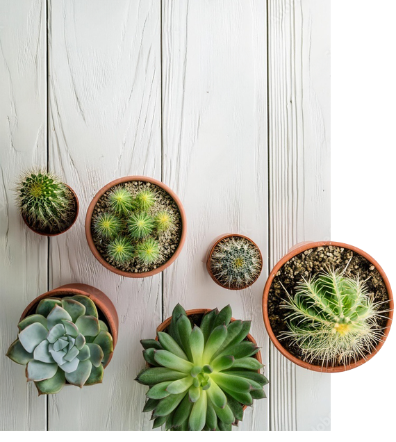 Chi Siamo Segantini Garden Center