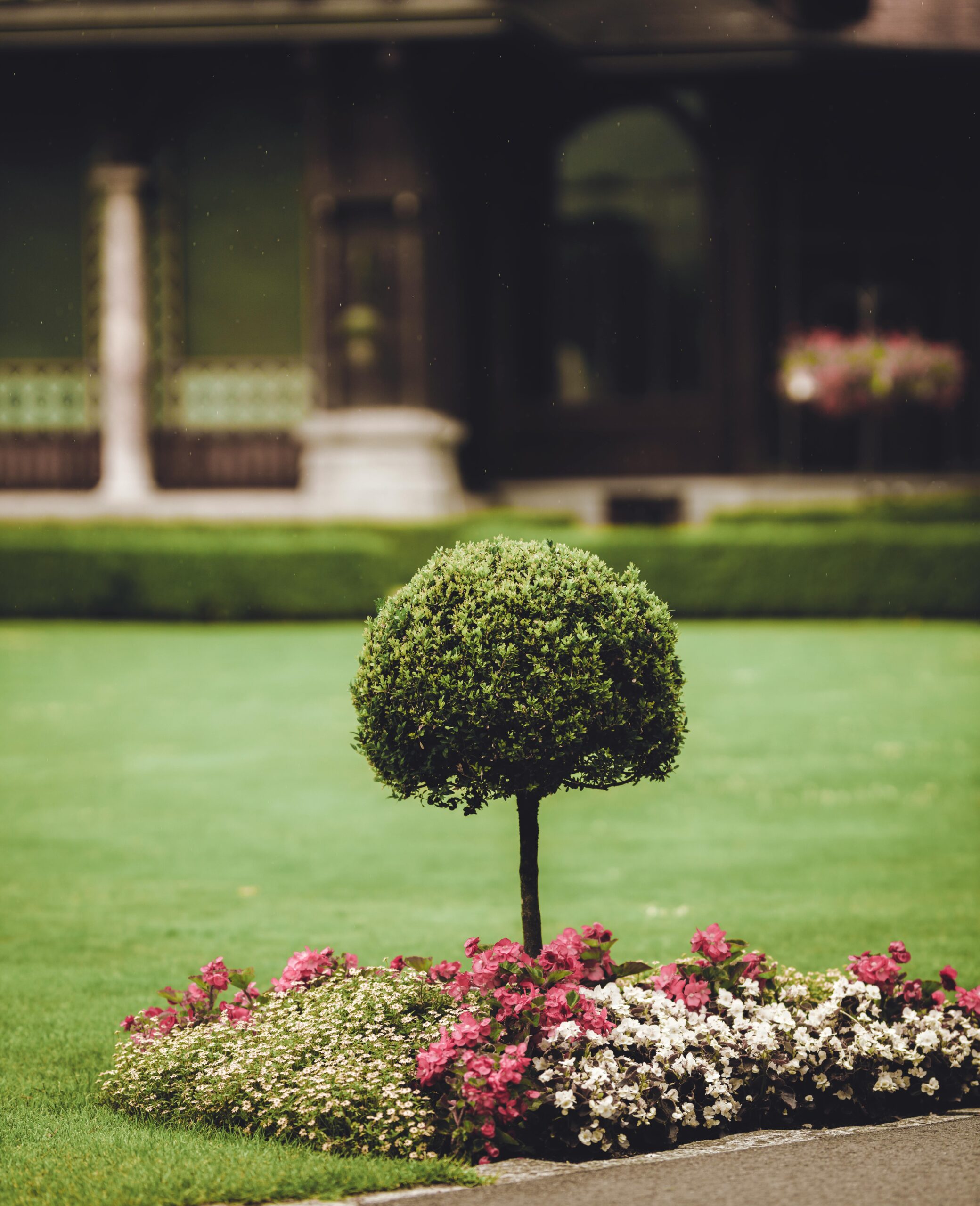 A lush garden with manicured shrub and vibrant flowers in front of a classic building.